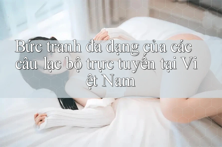 Bức tranh đa dạng của các câu lạc bộ trực tuyến tại Việt Nam Bức tranh đa dạng của các câu lạc bộ trực tuyến tại Việt Nam