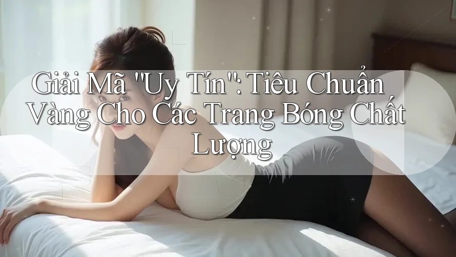 Giải Mã “Uy Tín”: Tiêu Chuẩn Vàng Cho Các Trang Bóng Chất Lượng