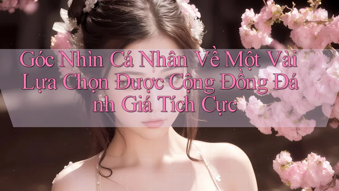 Góc Nhìn Cá Nhân Về Một Vài Lựa Chọn Được Cộng Đồng Đánh Giá Tích Cực