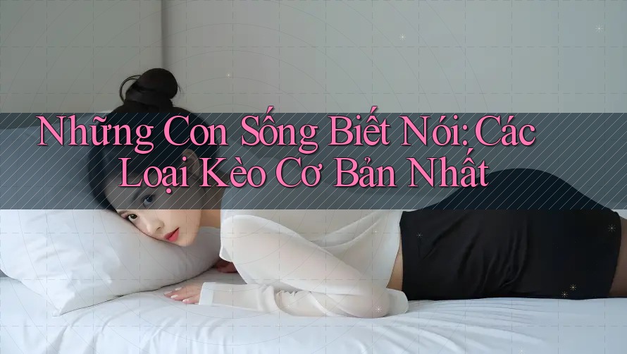Những Con Sống Biết Nói: Các Loại Kèo Cơ Bản Nhất Những Con Sống Biết Nói: Các Loại Kèo Cơ Bản Nhất